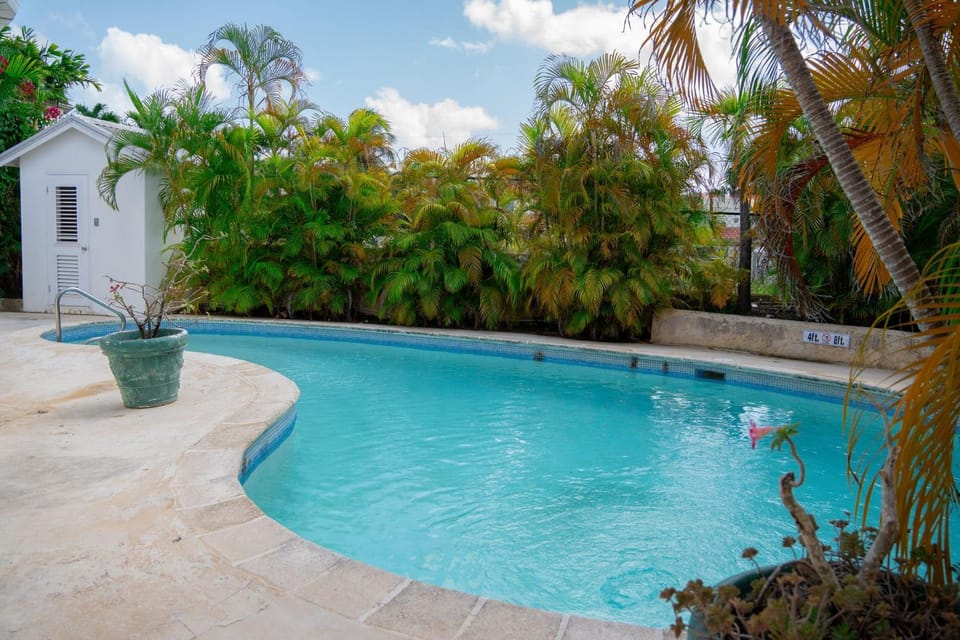 Summer, Swimming pool
