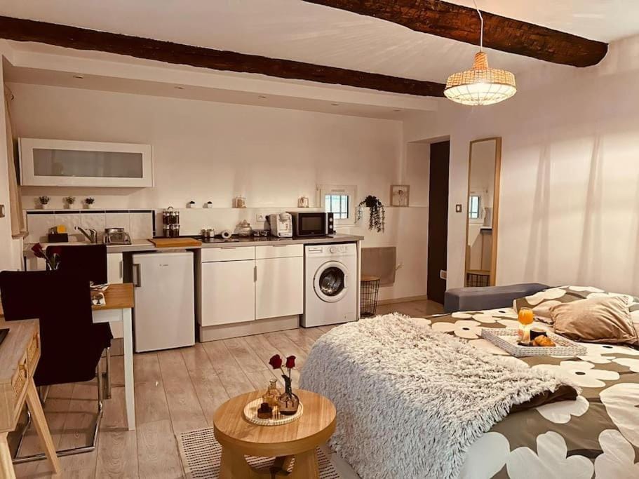 Studio Oasis de paix centre Aix en Provence Apartment in Aix-en-Provence