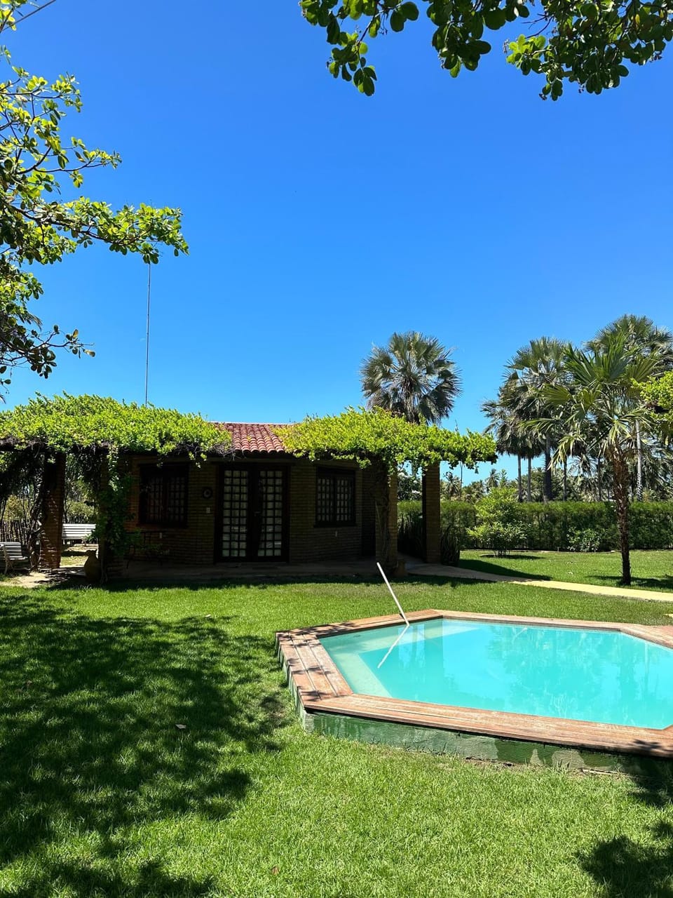 Garden, Swimming pool
