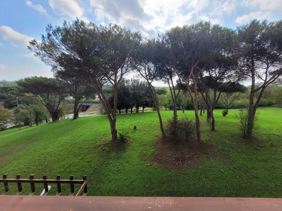 Communal lounge/ TV room, Garden view