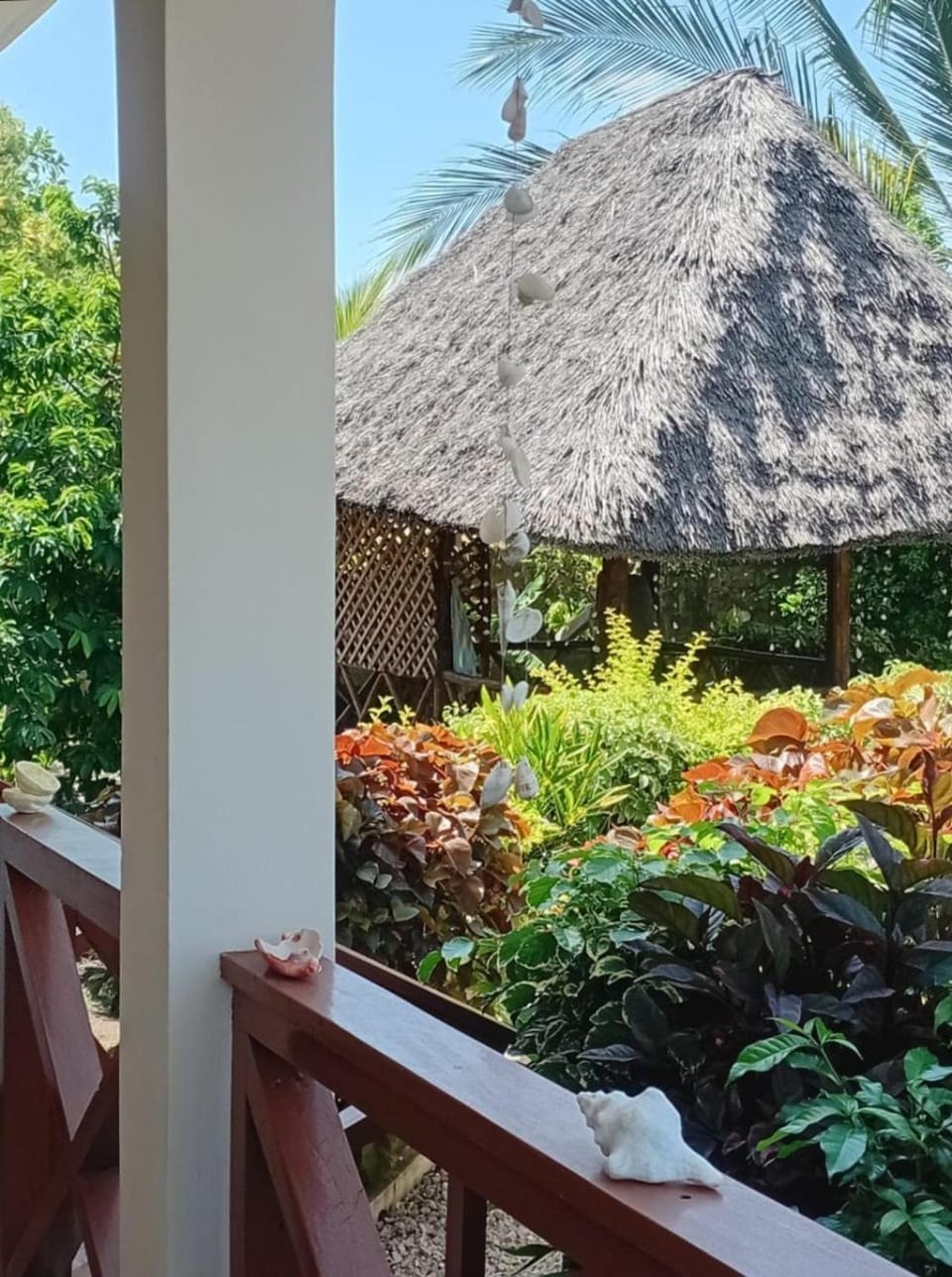 Property building, Garden, Garden view