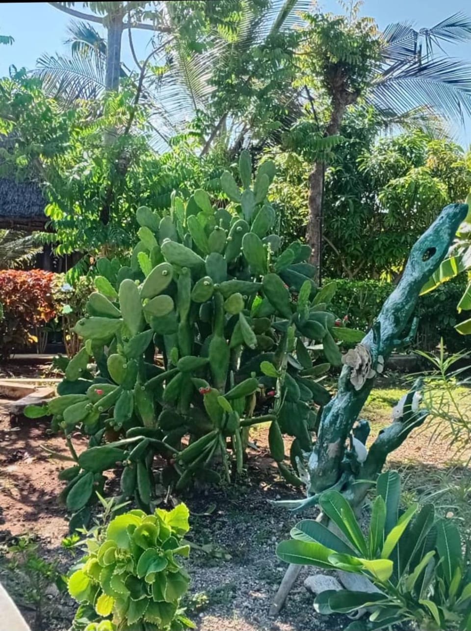Garden, Garden view