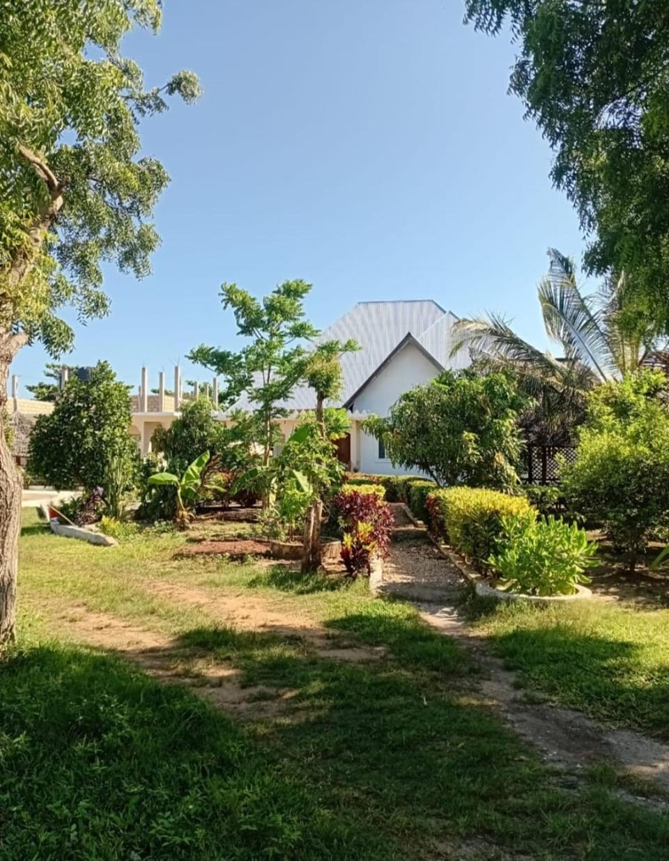 Day, Natural landscape, Garden, Garden view