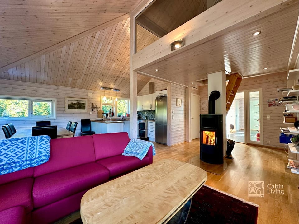 Cabin at Sjusjøen Birkebeiner trail ski in out, 8 beds, 2 bathrooms & Wifi Cabin in Innlandet