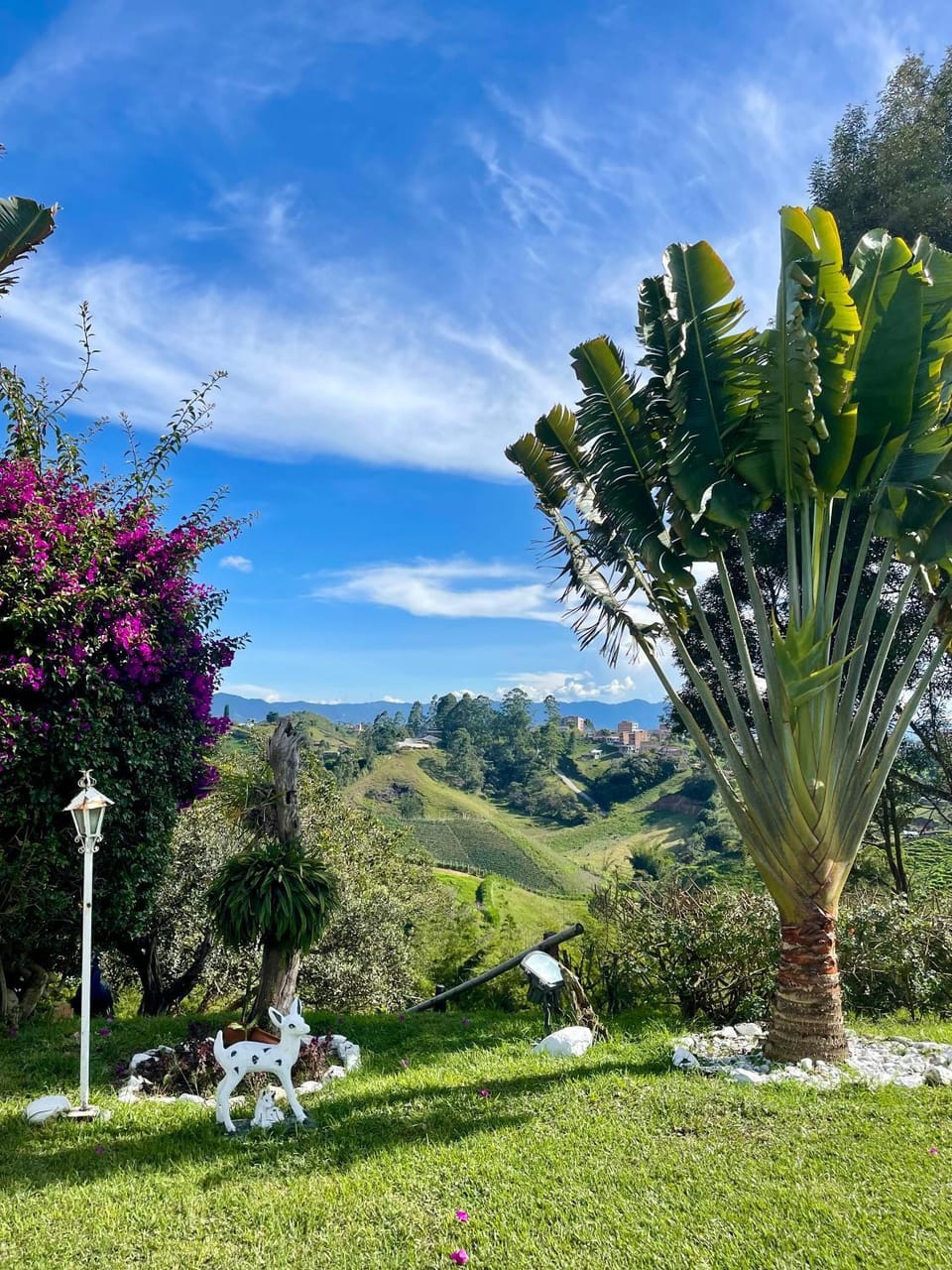 Garden, Garden view