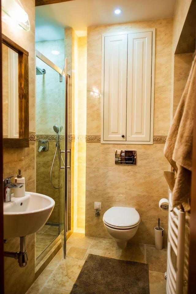 Shower, Toilet, Bathroom, towels