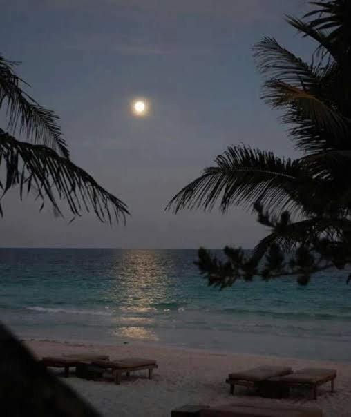 Exclusivo con piscina privada Apartment in State of Quintana Roo