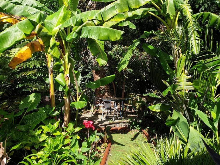 Natural landscape, Garden