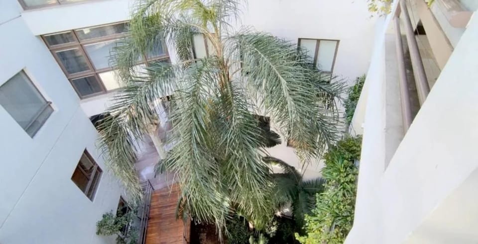Garden, Garden view