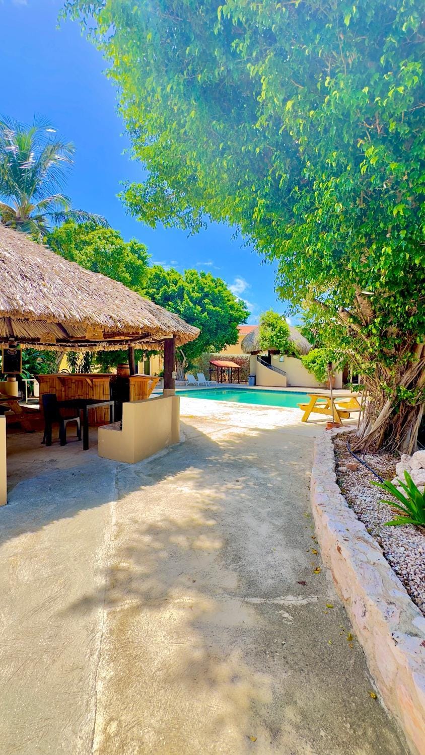 Natural landscape, Garden view, Pool view
