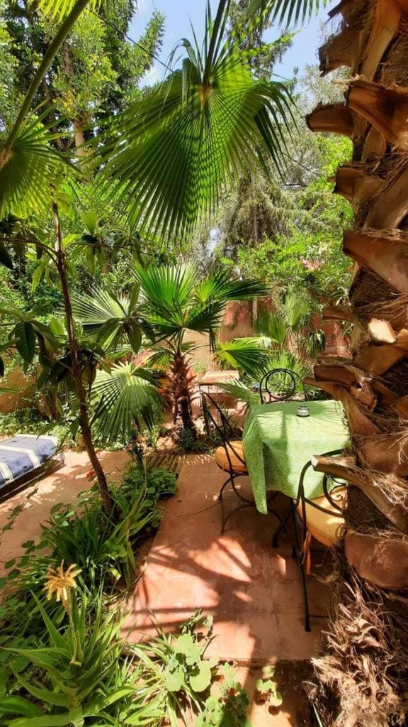 DAR OUZOUD Vegan Riad in Morocco