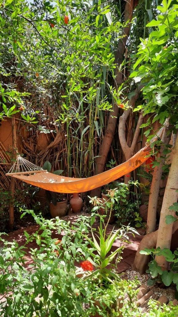 DAR OUZOUD Vegan Riad in Morocco
