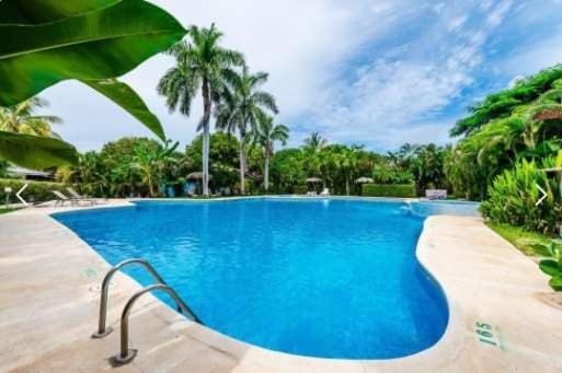 Garden, Swimming pool
