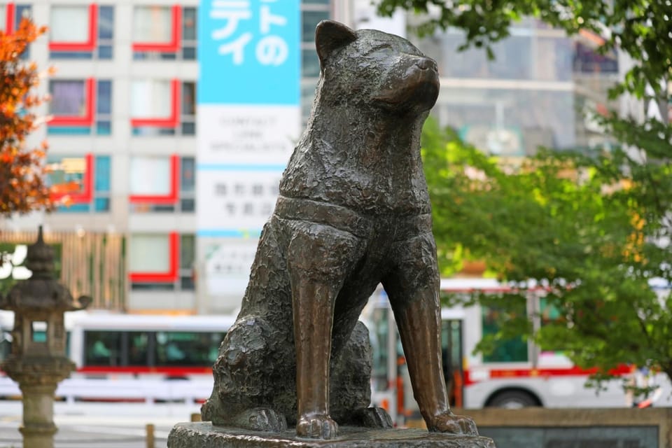 ホテルシェヌーAdult Only Hotel in Shibuya
