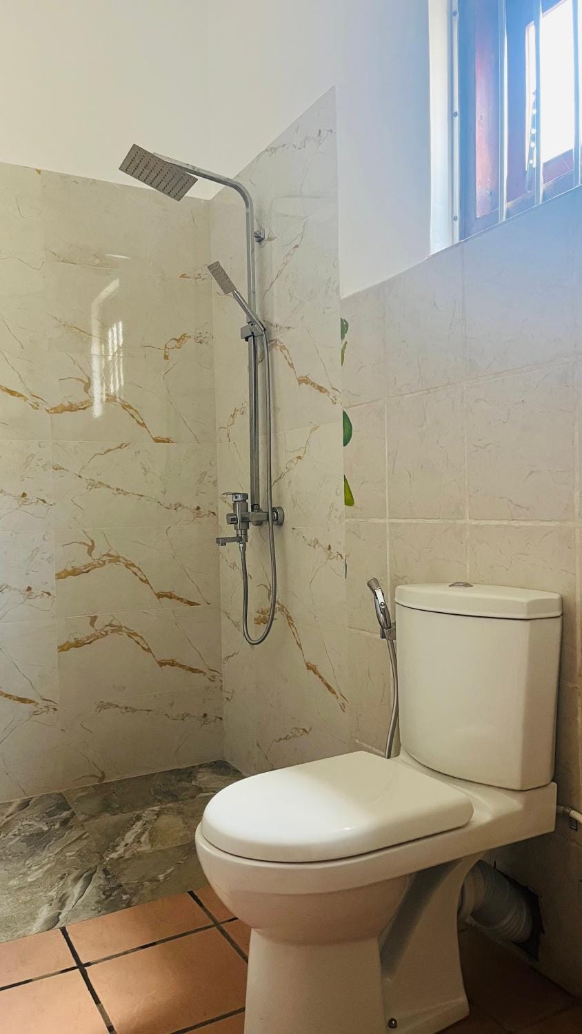 Shower, Toilet, Bathroom, bidet