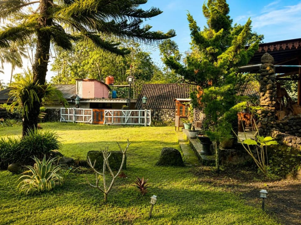 Property building, Garden view