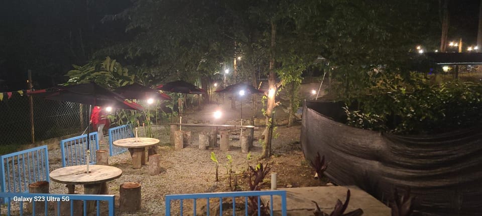 Night, Garden