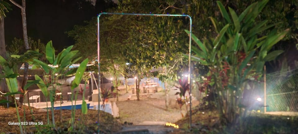 Night, Garden view
