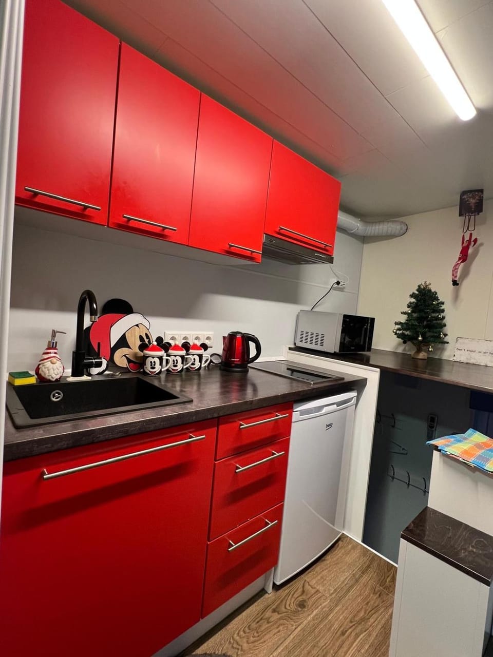 Tiny Home Apartment hotel in Estonia