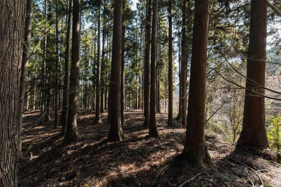 Captain's House, explore the crustal movement every thousand years Chalet in Ishikawa Prefecture