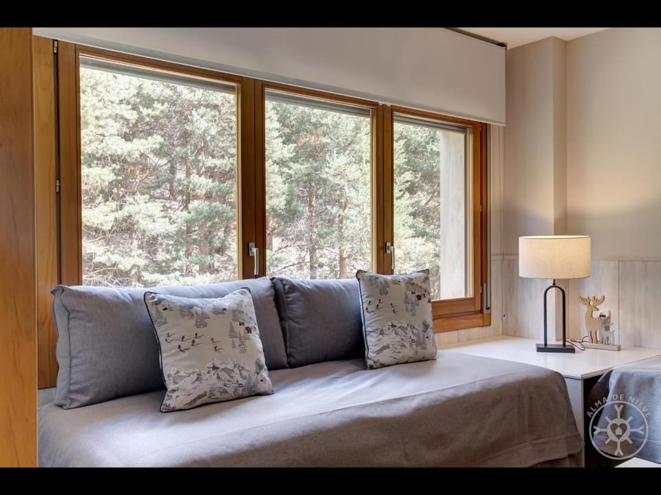 BOLQUER de Alma de Nieve Apartment in Baqueira