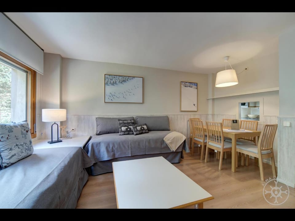 BOLQUER de Alma de Nieve Apartment in Baqueira