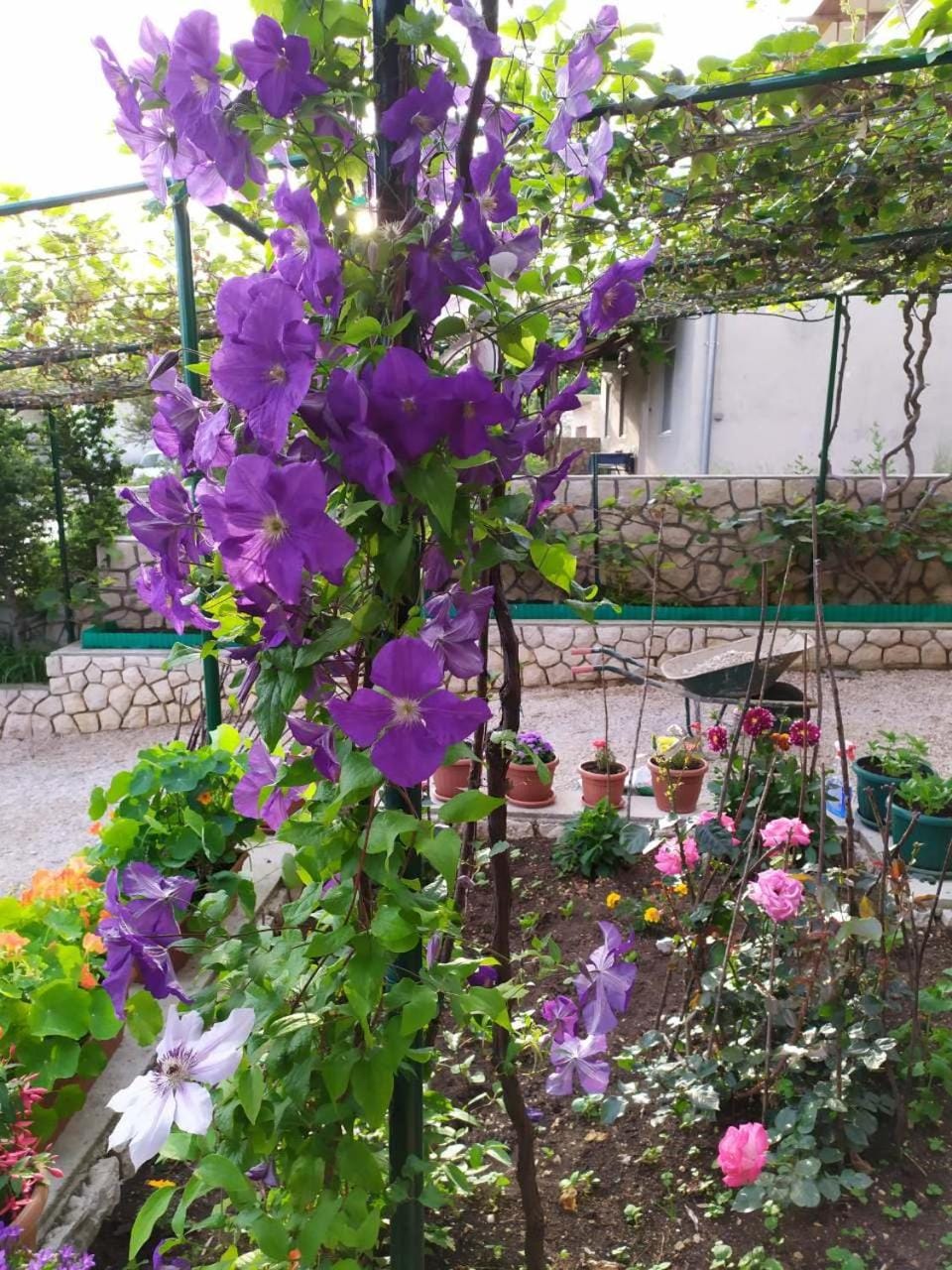 Natural landscape, Garden, Balcony/Terrace