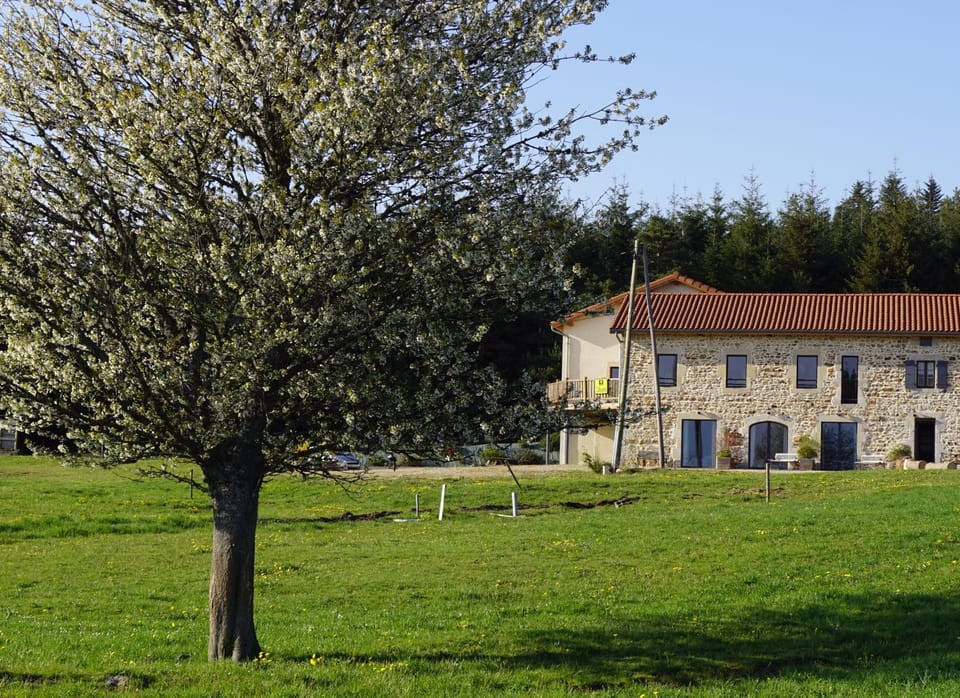 Property building, Garden