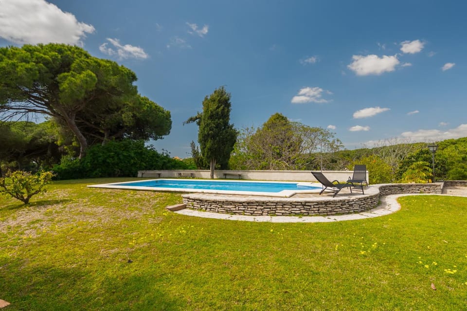 Natural landscape, Garden, Garden view, Swimming pool