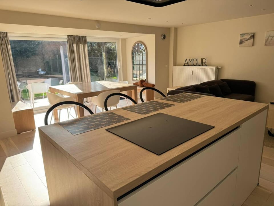 Modern Flat With Garden House in Ostend