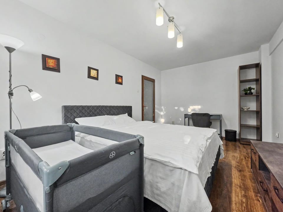 Bed, Living room, Photo of the whole room, Bedroom, cot