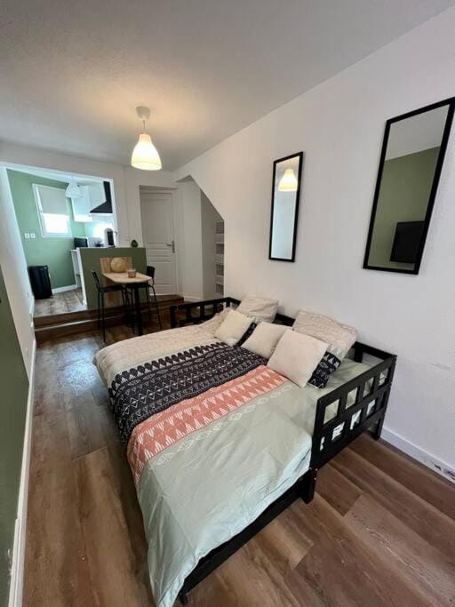 Appartement plein centre-ville Apartment in Mulhouse