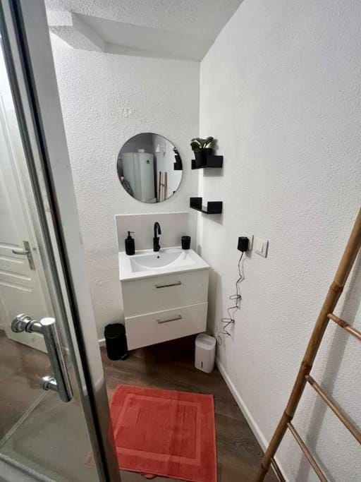 Appartement plein centre-ville Apartment in Mulhouse