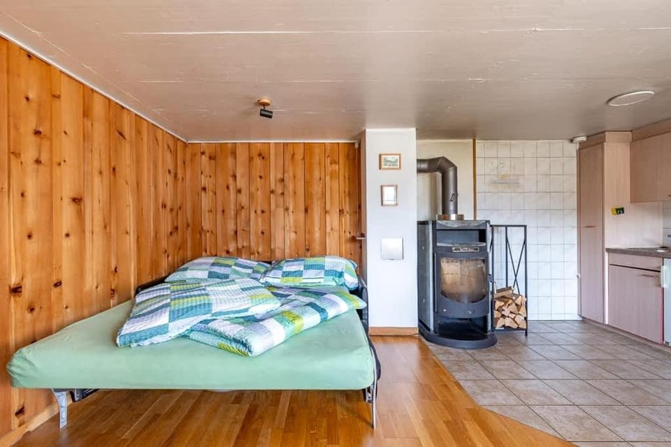 Cozy Studio With Terrace Bbq Mountain View House in Canton of Bern (Region)