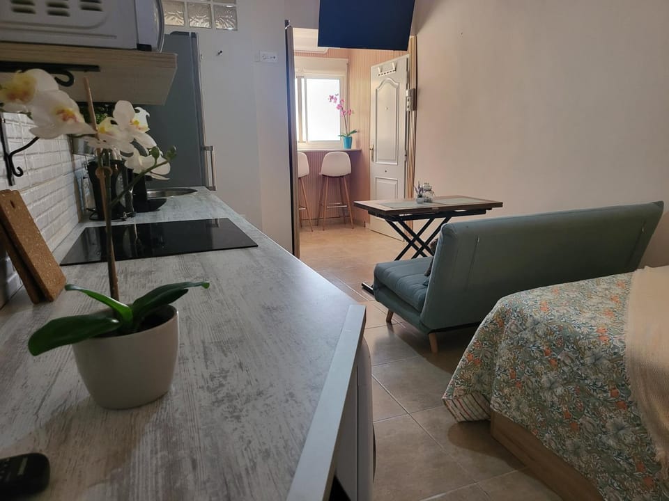 TV and multimedia, Kitchen or kitchenette, stove, kitchen