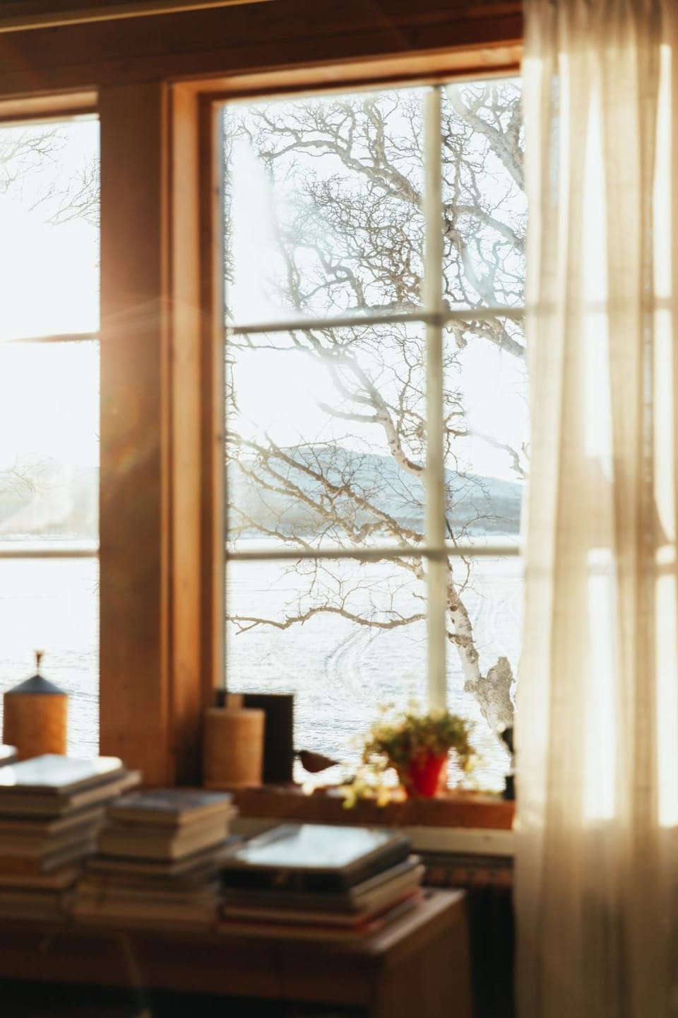 Property building, Natural landscape, Library, Living room, Lake view
