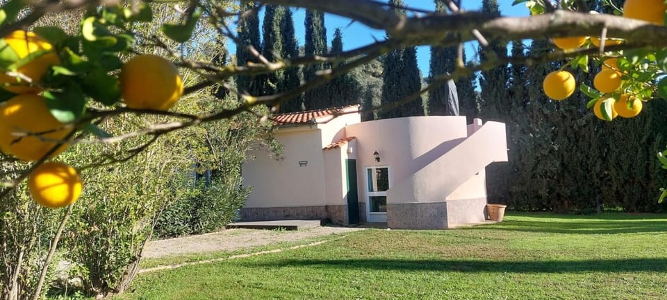 Casita Higo Apartment in Sierra de Cádiz