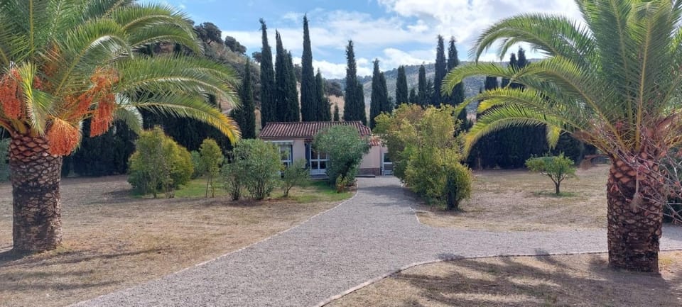 Casita Higo Apartment in Sierra de Cádiz