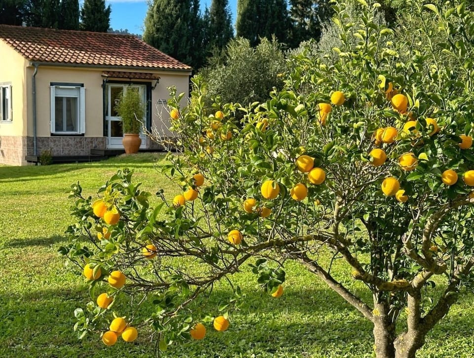 Casita Cacahuete Apartment in Sierra de Cádiz