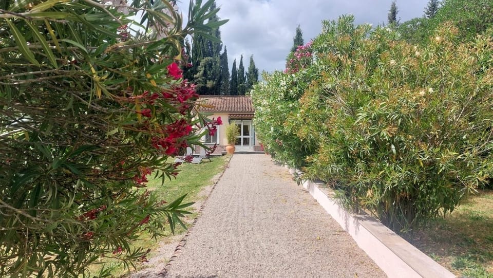 Casita Cacahuete Apartment in Sierra de Cádiz
