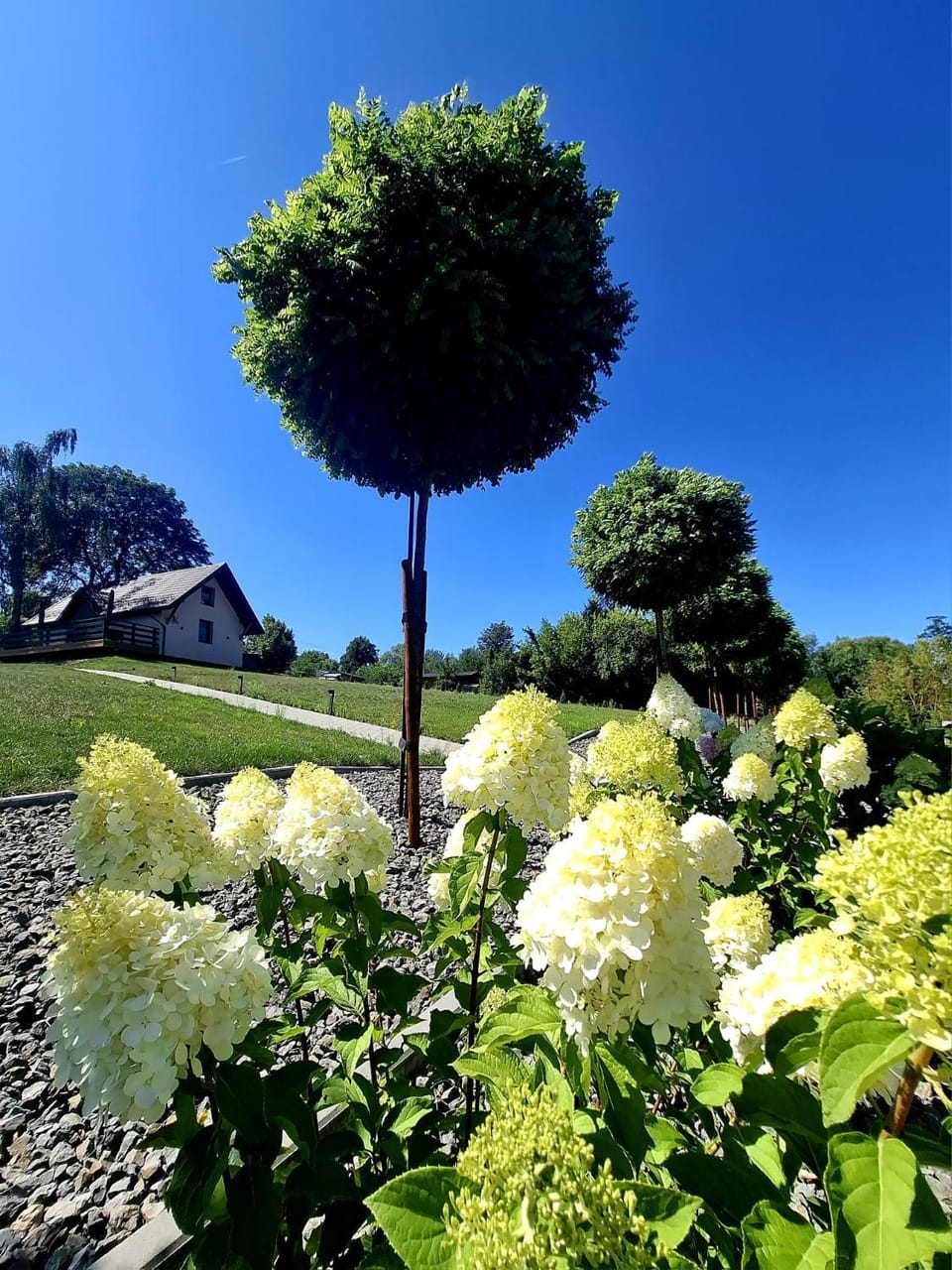 Nadrzeczna Dolina House in Poland