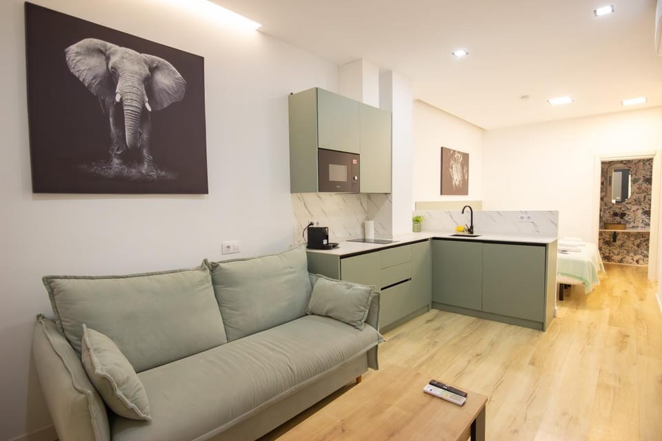 Living room, kitchen