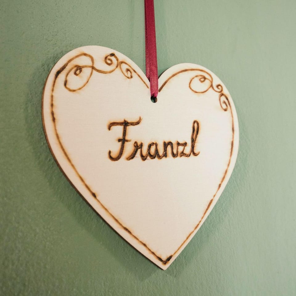 Domizil Ausseerland - Your Austrian Home Apartment in Bad Aussee