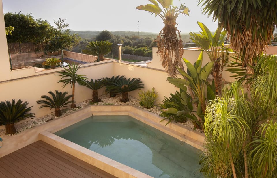 Day, Natural landscape, Garden, Garden view, Pool view, Swimming pool