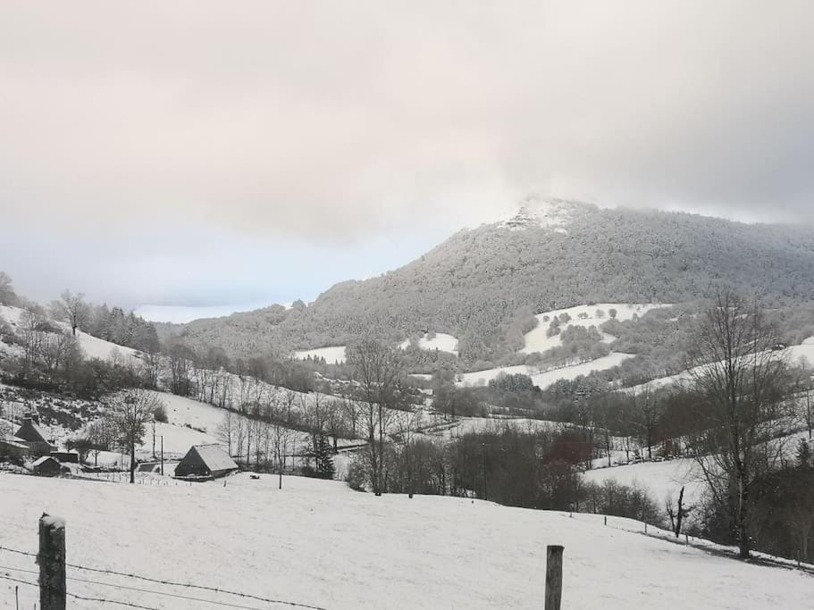 Gîte chaleureux avec cheminée au pied du Puy Mary House in Auvergne-Rhône-Alpes