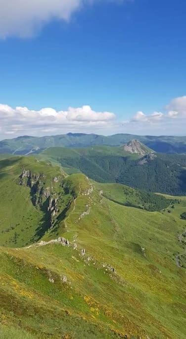 Gîte chaleureux avec cheminée au pied du Puy Mary House in Auvergne-Rhône-Alpes