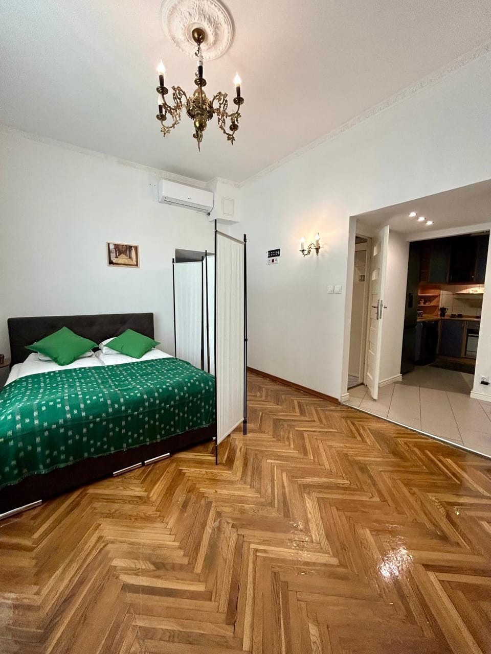 Vintage Senacka 3 Apartment Apartment in Krakow
