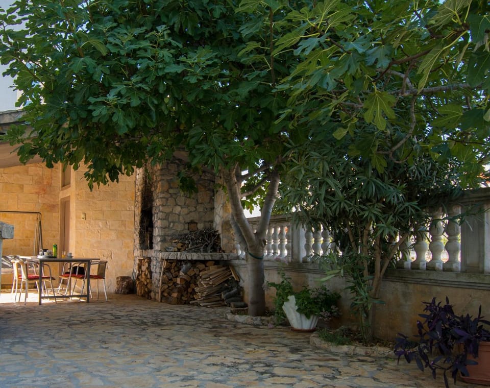 BBQ facilities