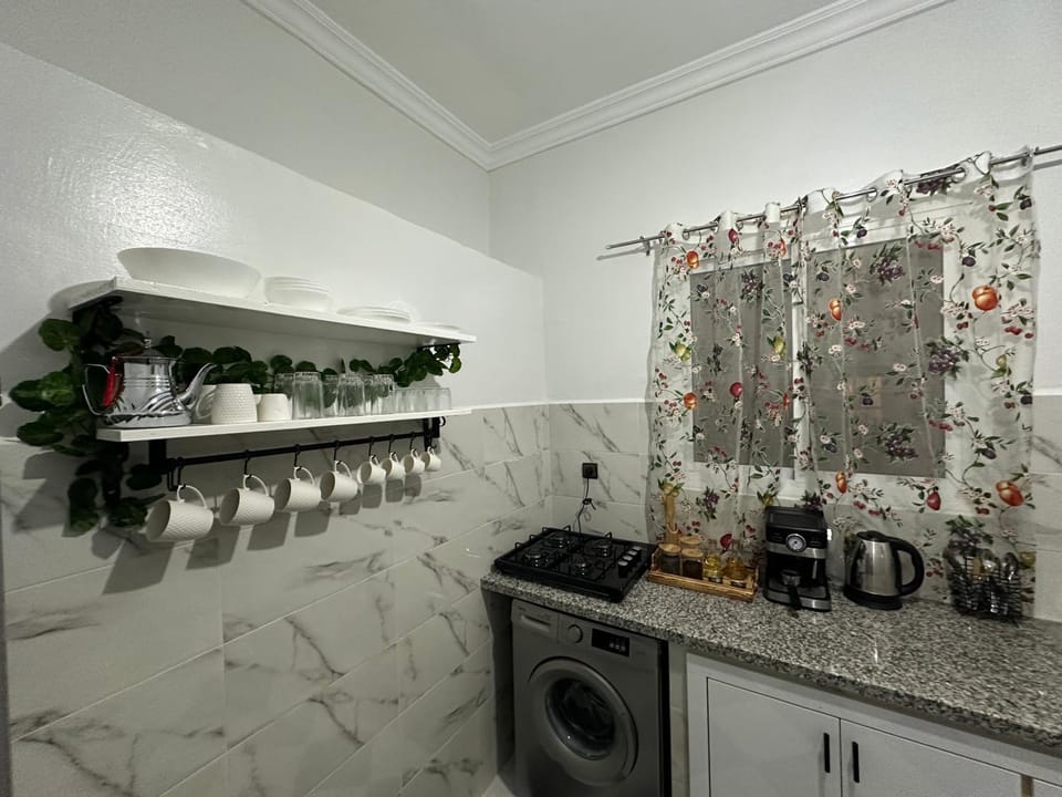 Kitchen or kitchenette, washing machine