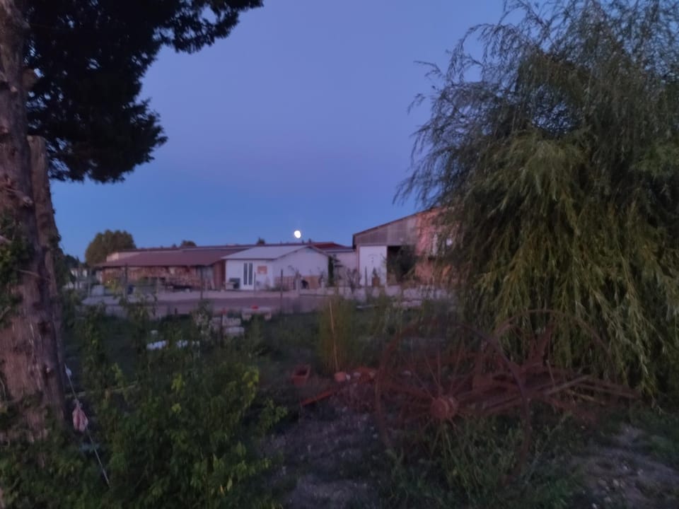 Ecurie Le Pas du Loup Farm Stay in Le Thor